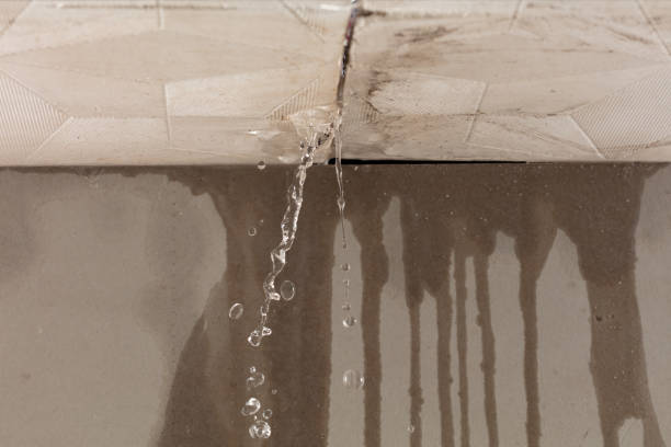 Professional Burst Pipe Cleanup technician working in Hillrose, CO